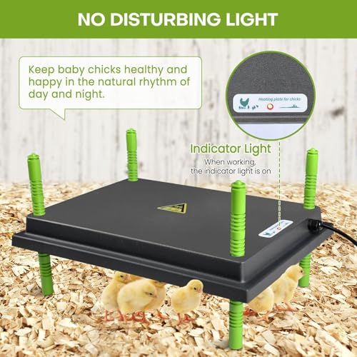 Chick Brooder Heater Plate, 12"x16" Warmer Brooder Plate for Chicks with Adjustable Height, 30W Temperature Control Brooder Heating Plate for 40 Baby Chicks Duck - size: 16.3"L x 12.0"W x 3.0"H