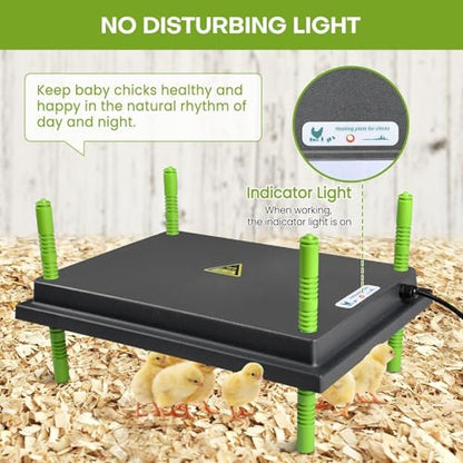 Chick Brooder Heater Plate, 12"x16" Warmer Brooder Plate for Chicks with Adjustable Height, 30W Temperature Control Brooder Heating Plate for 40 Baby Chicks Duck - size: 16.3"L x 12.0"W x 3.0"H