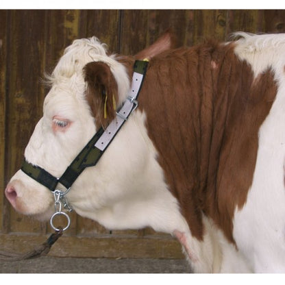 Kerbl Cow Halter with Chin Chain