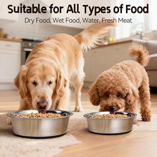Stainless Steel Dog Bowls, Non Slip Dog Metal Bowls, 2 Pack Food and Water Pet Feeders Heavy Duty Dishwasher Safe (16oz, 2cup) - size: S-16oz,2cup