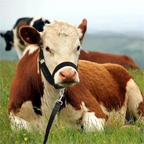 Rope Halter for Horses 2pcs Durable Adjustable Halter for Horses Cattle with Heavy Duty Lifting Rope Equestrian Gear