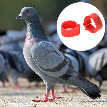 Pigeons Leg Ring, Chicken Leg Bands Poultry Foot Bands Plastic Bird Identify Clip On Ring Markers Identify for Ducks Chicks Chicken Guinea Pigeons Goose Bantam Finch Dove Lovebird Quail 100Pcs - size: 10mm
