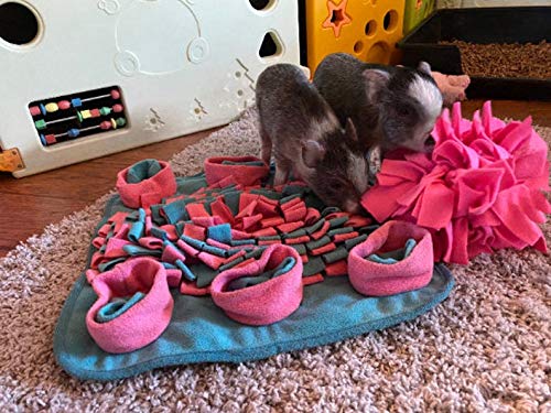 Interactive Dog Snuffle Mat for Mental Stimulation and Enrichment for Dogs Pigs Rabbits Cats and Other Small Animals Encourages Natural Foraging Skills and Stress Relief