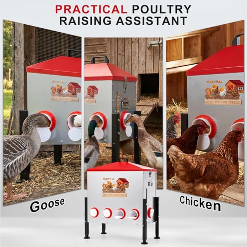 Automatic Chicken Feeder, 130LB Large Chicken Feeder with 10 Feeding Ports, No Waste Metal Poultry Feeder, Rat Proof Design, View Window, Height-Adjustable Legs for Ducks, Geese & Chickens - size: 10 Ports - Max 130 lb