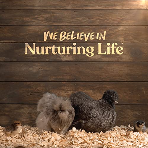 Harris Farms Plastic Hanging Poultry Feeder, Twist and Lock Base, For Medium to Large Flocks, Feeds up to 25 Birds, 10 lbs
