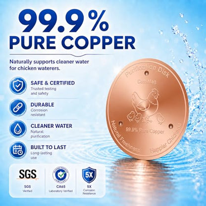 Copper Disc for Chicken Water Purification, 99.99% Pure Copper Disk, Helps Keep Water Cleaner, Fits Chicken Waterers, Chicken Water Feeders & Bird Baths