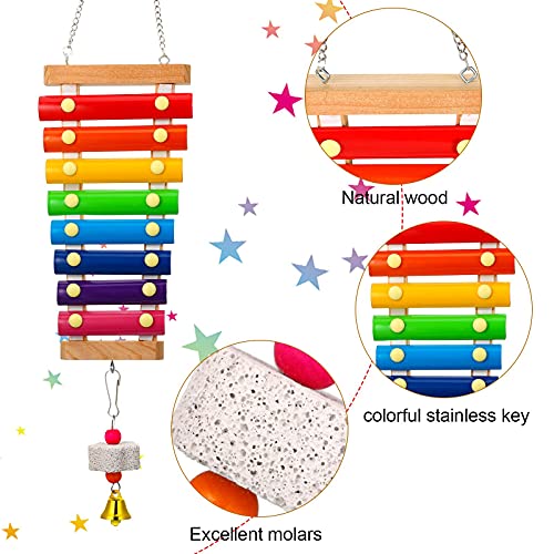 5-Piece Colorful Wooden Xylophone Chicken Coop Mirrors with Bells for Hens, Chicks & Parrots