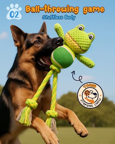 Swooflia Durable Squeaky Dog Toy - Interactive Plush Cute Frog with Rope Legs, Teeth Cleaning Tug Toy for Small Medium and Large Dogs, Puppy Chew Toy for Training and Play - color: Green
