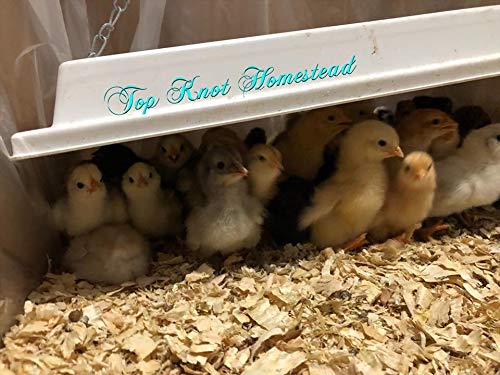 Infrared Heater for Chicks & Pets, Overhead 11x16, 50 Watt