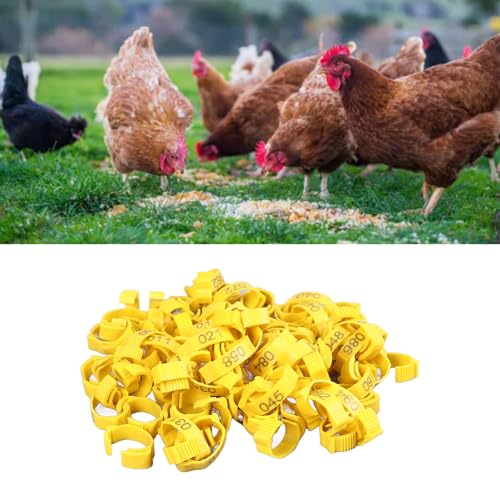 SUNGOOYUE 100 Pcs Chicken Leg Rings Plastic Numbered Poultry Identification Bands Clip On Round Ankle for Chickens Ducks Hens Breeders Farm Flock Tracking (100Pcs Yellow Rings with Number Markers) - color: 100pcs Yellow Rings With Number Markers