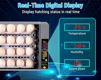 Gpeng Egg Incubator, 24 Eggs Incubator with Digital Display, Auto Egg-Turning, Auto Temperature Control, for Hatching Chicken Goose Pigeon Quail Duck - size: 24-Eggs
