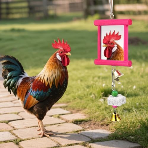 Chicken Toy Mirror, Chicken Molar Stone & Hanging Mirror for Parrot, Pecking Toy & Beak Grinding Stones for Coop Enrichment, Chicken Swing Mirror for Cage Accessories (Red) - color: Red
