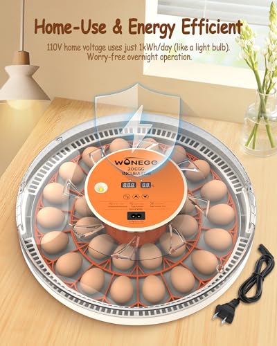Incubators for Hatching Eggs with Automatic Egg Turning, Auto Temperature Control, Humidity Display, LED Egg Candler, 30 Eggs Incubator for Chicken, Quail, Parrot Eggs