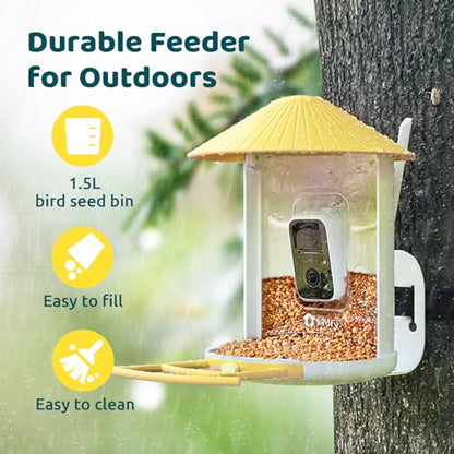 NETVUE by Birdfy AI Smart Bird Feeder with Camera, AI Auto Capture Each Bird Visit & Identify 6000+ Species, Cloud Store & Live Birdwatching, Ideal Gift (Yellow) - color: Yellow, style: AI