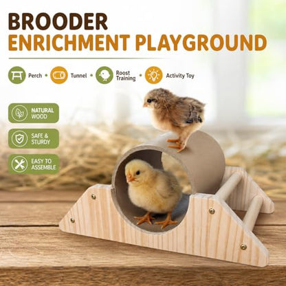 Baby Chick Perch & Tunnel Toy Set for Brooder, Chick Roosting Bar Training Toys, Chicken & Duckling Enrichment Playground, Anti-Boredom Coop Accessories for Baby Chicks Ducks Small Birds