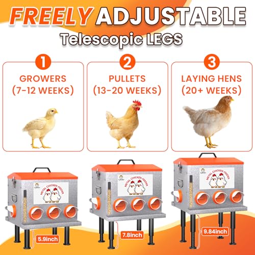 10-Gal 55LB Metal Chicken Feeder with Window, Dual No-Waste Design, Automatic Large Chicken Feeder for Outdoor Coops, Rust-Proof Alloy Steel Poultry Feeder with Adjustable Legs