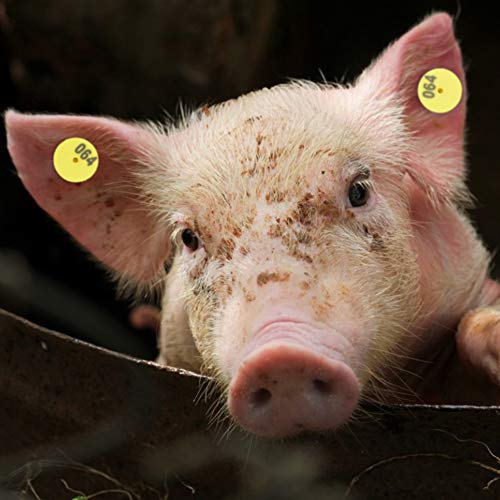 Livestock Round Number Ear Tag for Pig Sheep Cattle - for Farm Management