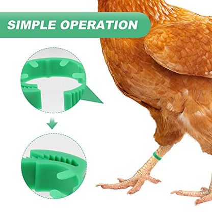 100 Pack Poultry Leg Bands - Durable Numbered Chicken and Duck Identification Rings for Easy Breed Management(Green,2 Packs) - color: Green, size: 2 packs