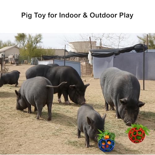 2Pcs Pig Enrichment Toys, Treat Ball Toy for Mini Pigs and Farm, Hanging Chew Ball Enrichment Toy with Rope for Pigs to Play with