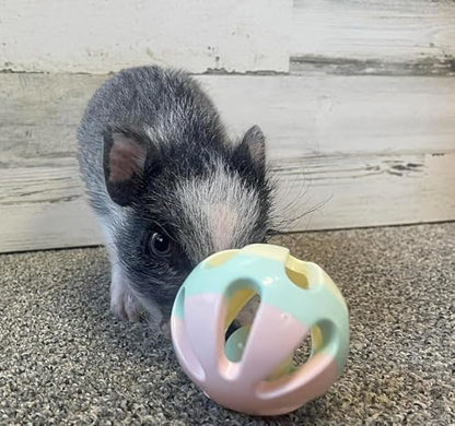 Rattle Balls 4 Pack for Dogs Pigs Rabbits and Cats – Fun Noisy Interactive Playtime Toys - You Can Also Add Treats (Light Pink) - color: Light Pink