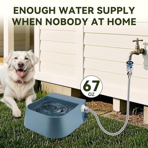 LESYPET Dog Automatic Water Bowl, 67 OZ Automatic Refill Pet Water Dispenser for Cat Chicken Rabbit, Outdoor Animal Drinking Bowl for Livestock, Hose & Adapter Included