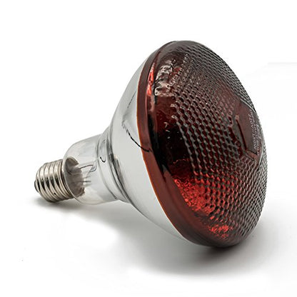 Infrared Heat Lamp Waterproof Anti-Explosion Light Bulb for Piglet Chicken Duck Birds(250w,120v)