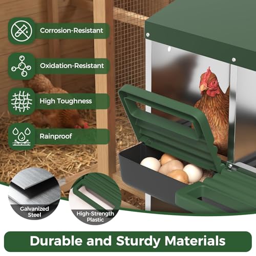 Heavy Duty Galvanized Steel Chicken Nesting Box – 6 Holes, Roll Away Egg Laying, Protective Lid, Wall Mounted or Freestanding, Easy Clean, Vented Pegboard Sides, Soft Mats, Green (Pegboard - color: Green, size: 6 Room&Mat Board