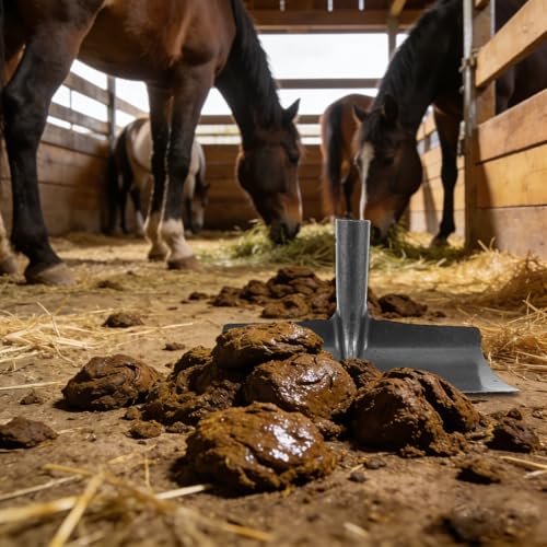 Livestock Pen Scraper with 12" Wide Blade - Heavy Duty Manure Removal Tool for Horse Barn, Pig Farm Poop Scooper Shovel, Floor Squeegee for Stable Cleaning