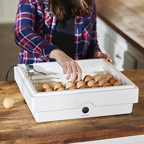 Farm Innovators Automatic Egg Turner, 41 Spot Chicken Egg Turning Tray with Thermometer for Improved Hatching Rate - Compatible with Select Incubators - size: Pack of 1