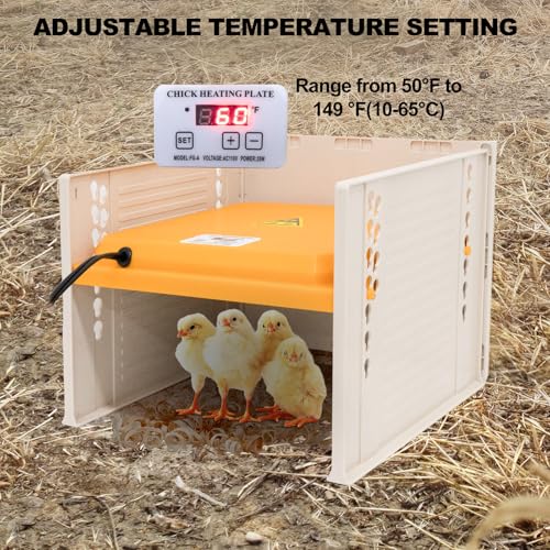 Brooder Heater for Chicks - Chick Brooder Plate with Adjustable Temperature Height Adjustable Chick Warmer for 11 Chicks Heater