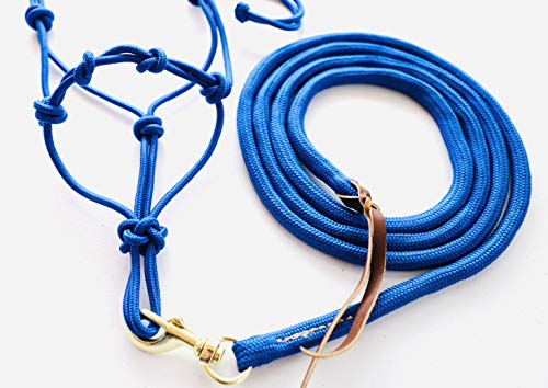 Star Point Horsemanship Mini-Pony 4 Knotted Rope Halter & 8' Lead Set (Royal Blue, Medium 32-36" Mini) - color: Royal Blue, size: Medium 32-36" Mini