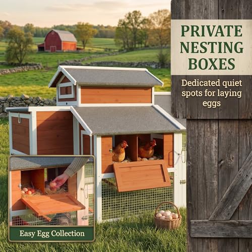 PawHut 79" L Chicken Coop for 6 Chickens Outdoor Wooden Hen House Poultry Cage with Run, 2 Nesting Boxes, Slide-Out Tray, Sliding Rod Door, Roosting Bar, Waterproof Asphalt Roof, Orange