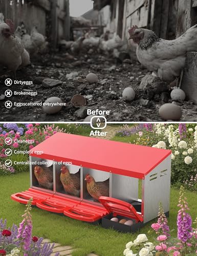 4 Hole Roll Away Chicken Nesting Box - Chickens Laying Box with Removable Tray, Easy Egg Collection & Cleaning, Metal Nesting Boxes for Backyard, Farm, Poultry Coop - color: red, size: 4 Compartments