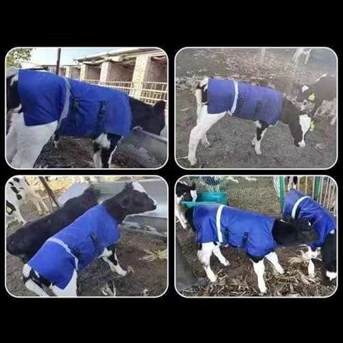 Thermal Calf Jacket, A Comfortable and Cold-Resistant Accessory. Keeps Calves Warm, L Waterproof