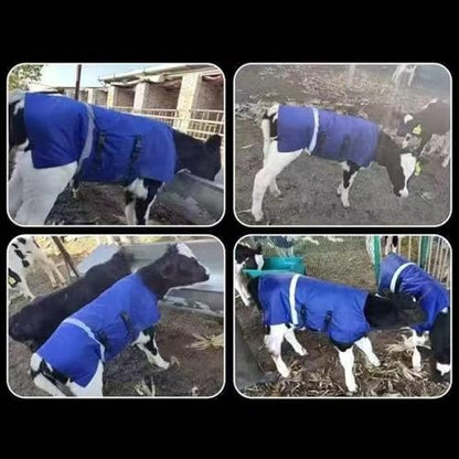 Thermal Calf Jacket, A Comfortable and Cold-Resistant Accessory. Keeps Calves Warm, L Waterproof