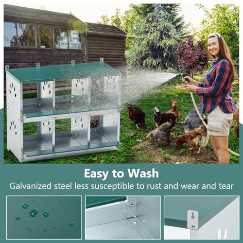 Chicken Nesting Box for Laying Eggs - 6 Room Chicken Laying Boxes, Nesting Boxes for Chickens, Heavy Duty Metal Chicken Coop, 32.9" L x 16.34" W x 26.38" H - size: 32.09" L x 16.34" W x 26.38" H