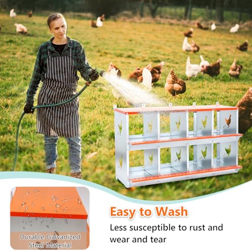 Chicken Nesting Box for Laying Eggs (42.5" L x 17" W x 25" H) | 8 Room Chicken Laying Boxes, Nesting Boxes for Chickens, Heavy Duty Metal Chicken Coop - size: 42.5" L x 17" W x 25" H