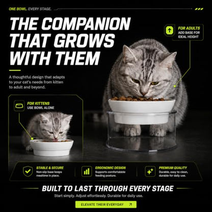 LivLab Mker Raised Cat Bowl, Elevated Cat Food Bowls with Stand - 15° Tilted Shallow Cat Dish for Whisker Fatigue Relief, 4.5" Height for Easy Feeding, Lead & Cadmium Free Melamine Bowl, White - color: White