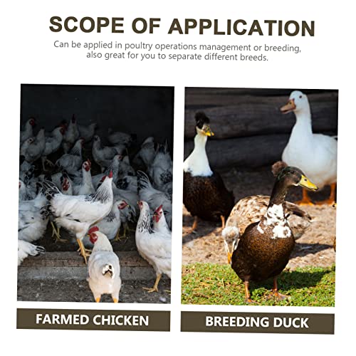 Kisangel 100pcs Chicken Leg Bands Numbered Leg Rings for Poultry Easy Identification Lightweight - color: Purple