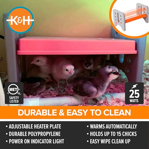 K&H Pet Products Chicken Brooder Heater for Chicks Ducklings, Adjustable Heating Plate for Brooder Boxes, Warms up to 15 Chicks, Chicken Coop Poultry Heating with Safety Light, Small 25 Watts - size: Small 13.5 X 8 X 8 Inches