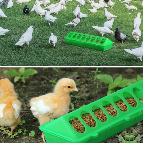 Flip Top Chick Feeder Trough Plastic Flip Top Bird Small Poultry Feeder Chicken Pigeon Duck Quail Feeder Waterer Small Chicken Feeders No Waste No Mess (Green) - color: Green