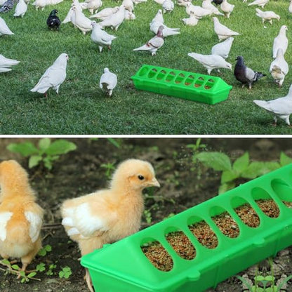 Flip Top Chick Feeder Trough Plastic Flip Top Bird Small Poultry Feeder Chicken Pigeon Duck Quail Feeder Waterer Small Chicken Feeders No Waste No Mess (Green) - color: Green