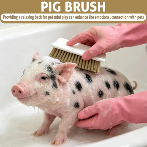 2-Pack Pig Enrichment Scratch Brush – Stress Relief for Pets | Self-grooming tool for mini pet pigs. Helps increase enjoyment. Suitable for pigsties, fences, Wooden Stakes and courtyards