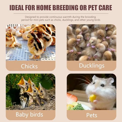 Heat Lamp for Chicks Chick Brooder Heat Plate Adjustable Height & Angle Chick Warmer Energy efficient Heating Plate for Chicks Orange Yellow
