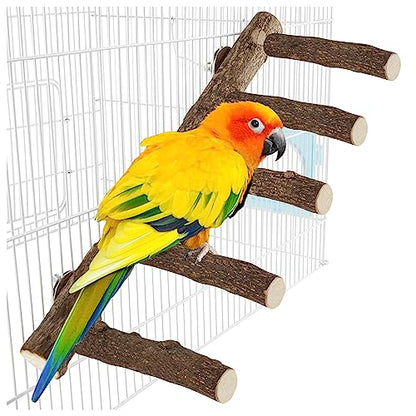 Parrot Wood Stand, Parrots Perch for Cage, Natural Bird Ladder for Small Medium Parrot, Parakeets, Cockatiels, Conures, Hamster(12.2 inch)