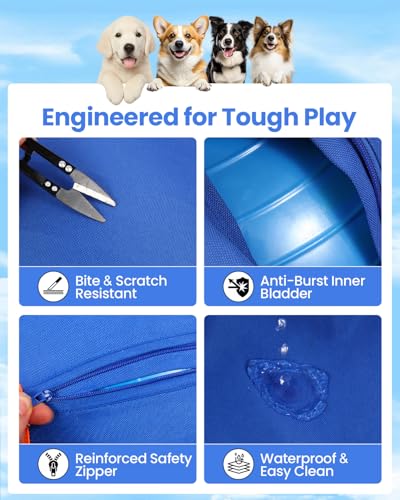 Herding Ball for Dogs