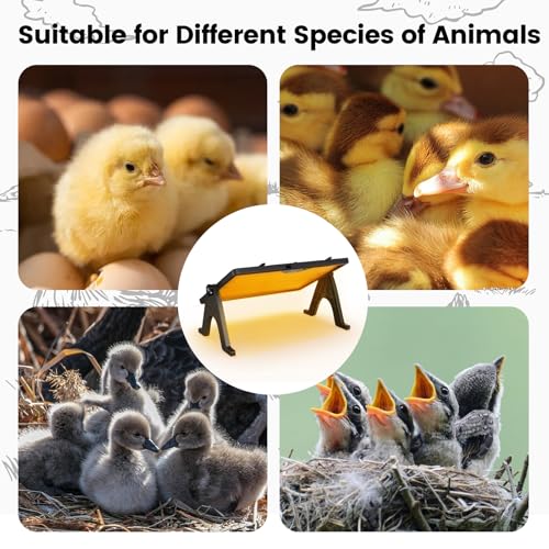 Chick Brooder Plate, 12"x16.5" Adjustable Double-Sided Heating Plate with LED Light & Remote Control, Brooder Heater for Baby Chicks, Ducklings & Birds, Safe Low-Energy Chick Heating Plate 86°F-167°F