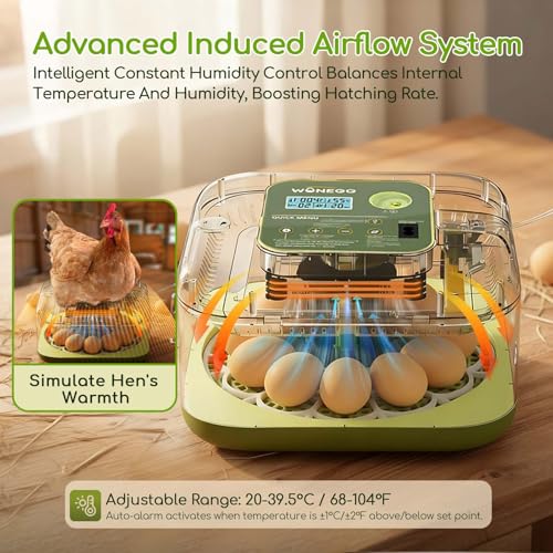 Incubator for Hatching Eggs with Turning,12 Eggs Automatic Incubator and Temperature Control Precise Humidity Control, 360° View Clear Window for Hatching Chicken, Quail Bird,Duck, Pigeon Eggs