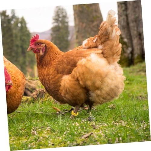 150pcs Poultry Leg Marking Reusable Chicken Identification Bands Bright Color Foot Clips for Easy Breed Separation Lightweight and Convenient for Poultry Care