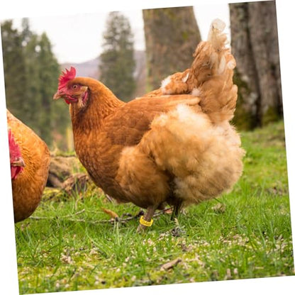 150pcs Poultry Leg Marking Reusable Chicken Identification Bands Bright Color Foot Clips for Easy Breed Separation Lightweight and Convenient for Poultry Care